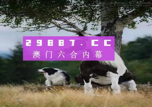 简报 第322页