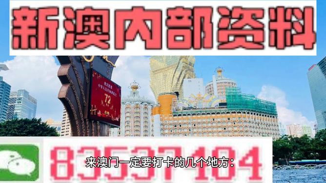 2024澳门最新最快内部资料,精选资料解析大全专业版250.330