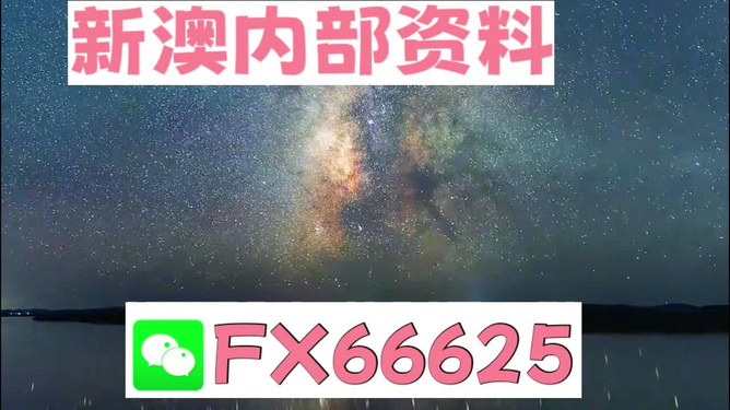 新澳天天彩免费资料大全查询,精选资料解析大全旗舰版250.331