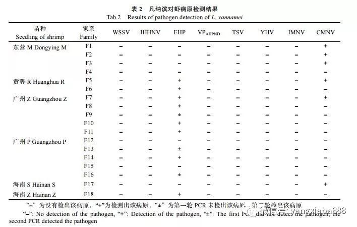 广东省虾病毒研究，挑战与机遇