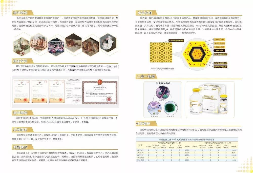 江苏浩泊环保科技，引领环保科技新潮流