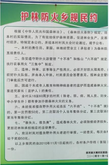 广东省林木种质资源调查，探索与保护林木基因宝库