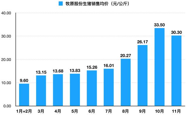 广东粤运股份有限公司，历史沿革与现代发展之路